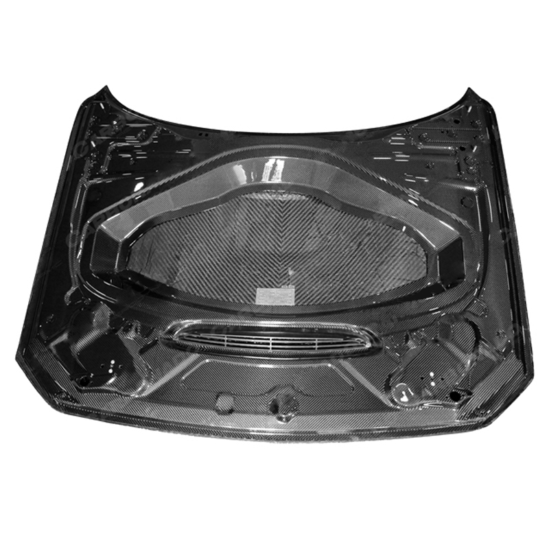 ALPHA-N Style Carbon Fiber Hood